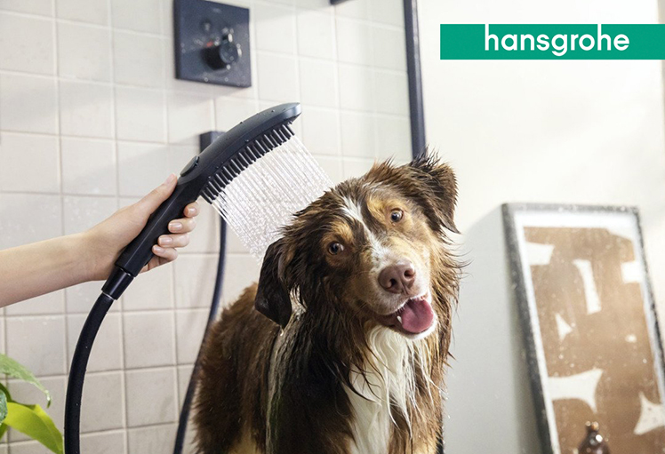 DogShower — jedinečná sprcha pre vašich miláčikov
