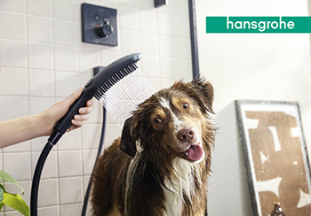 DogShower — sprcha pre vašich miláčikov